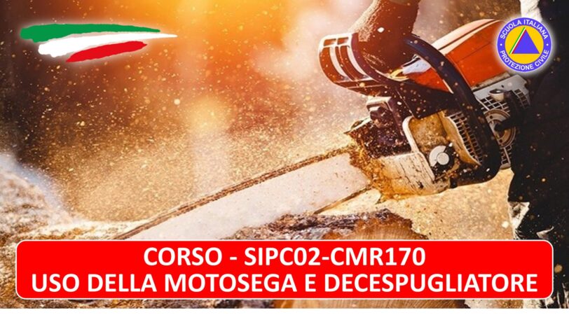 Immagine2