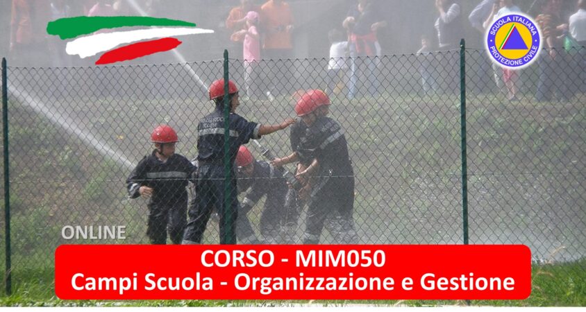 Immagine3