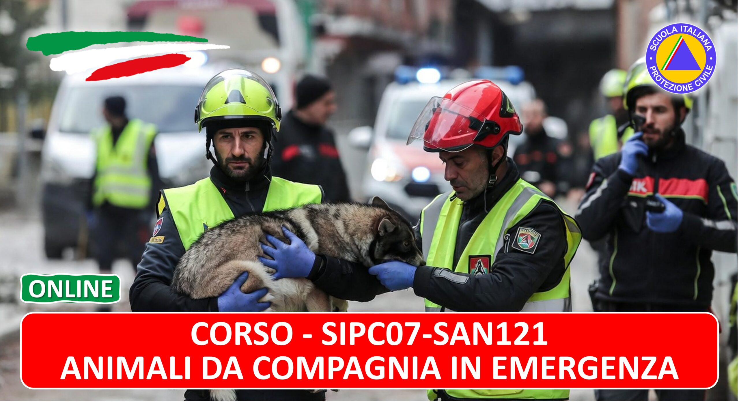 SAN121 - Animali da Compagnia in Emergenza